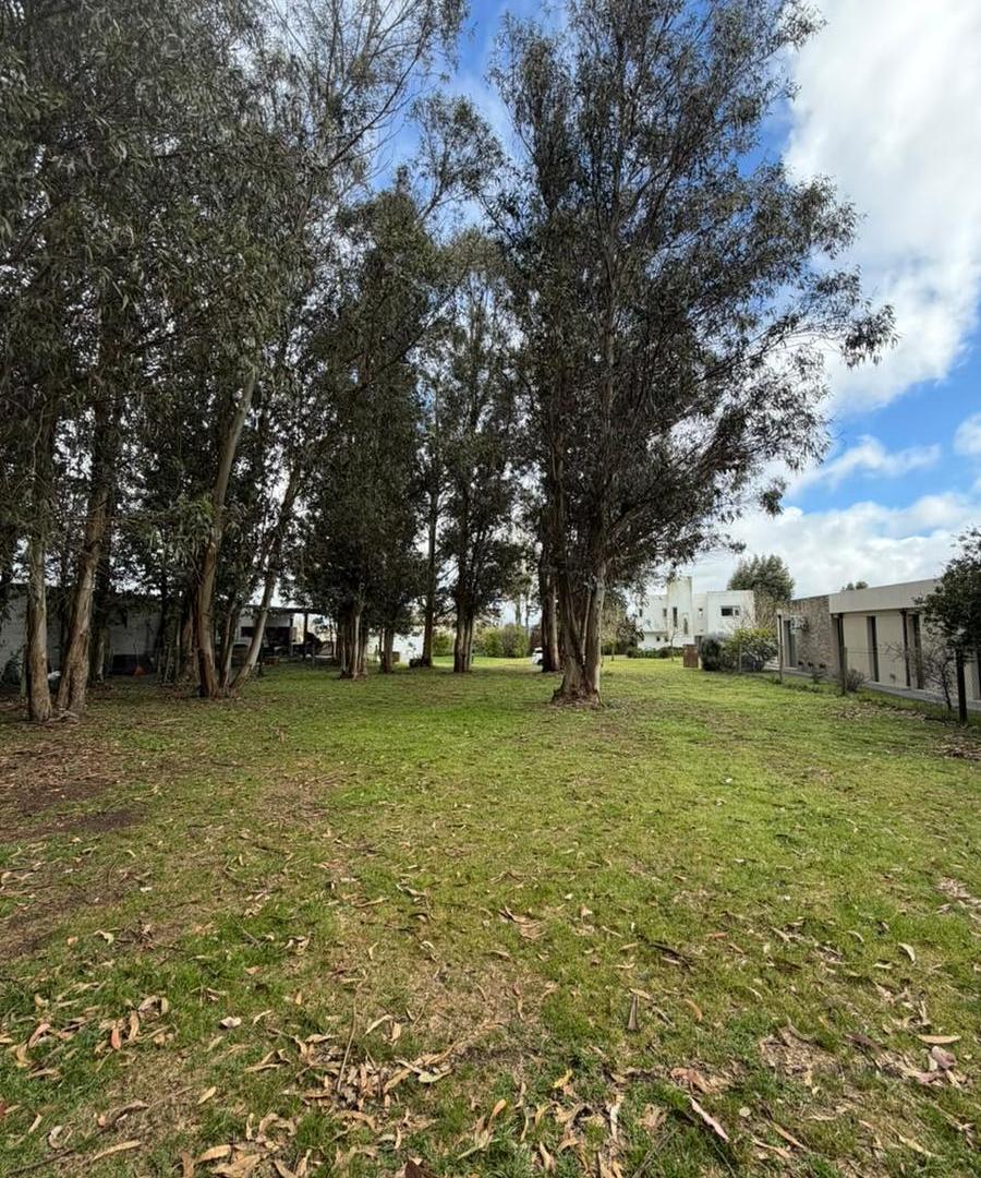 Foto de VENTA LOTE EN ARENAS DEL SUR, imagen 3