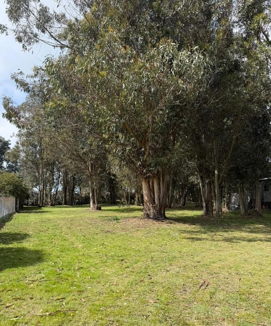 Foto de VENTA LOTE EN ARENAS DEL SUR, imagen 2
