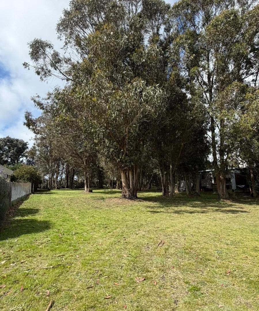 Foto de VENTA LOTE EN ARENAS DEL SUR, imagen 4