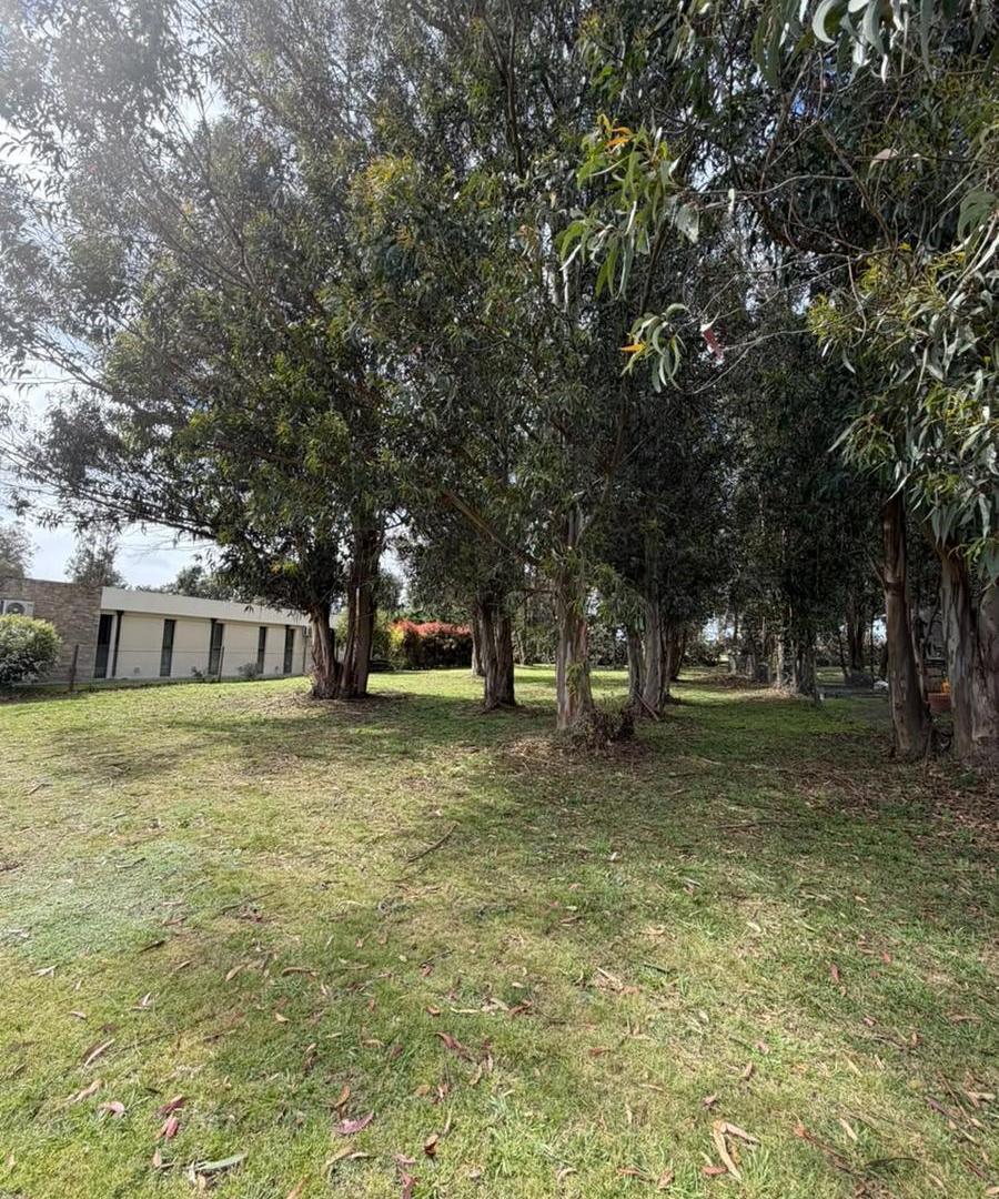 Foto de VENTA LOTE EN ARENAS DEL SUR, imagen 1