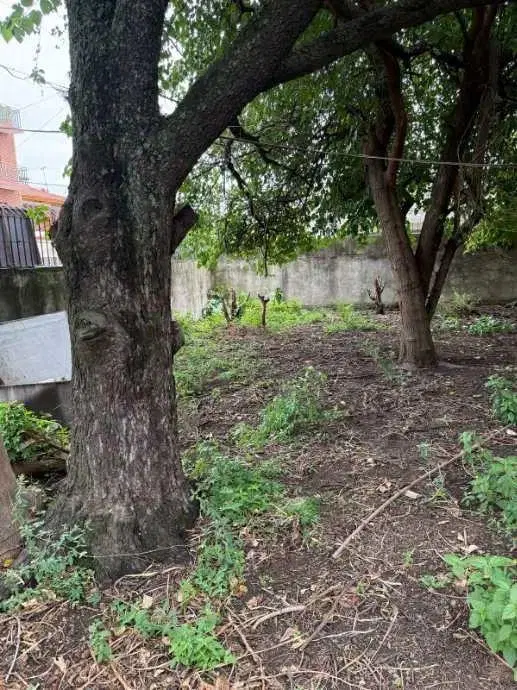 Lote En Venta En Lomas Del Mirador 5