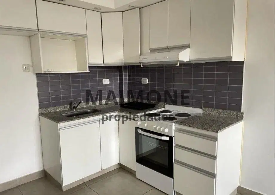 Departamento En Alquiler En Villa Luzuriaga 3