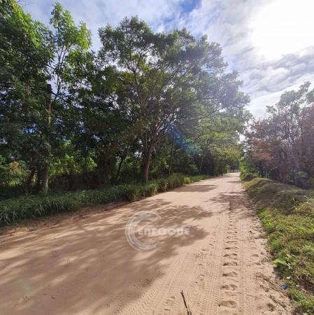 Terrenos Zona Rincon 1