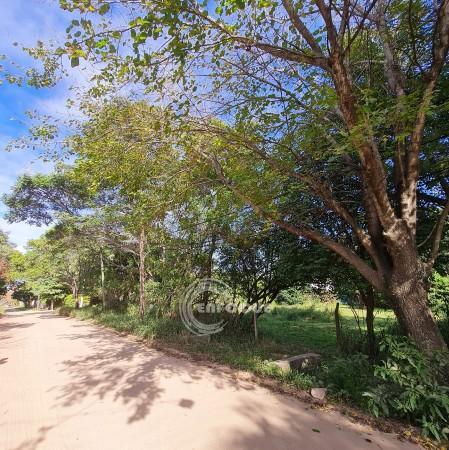 Terrenos Zona Rincon 3