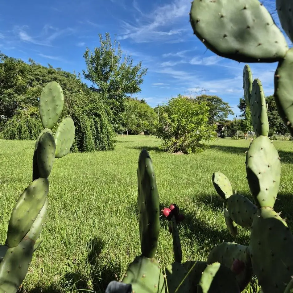 Lotes en Jardines de la Costa 5