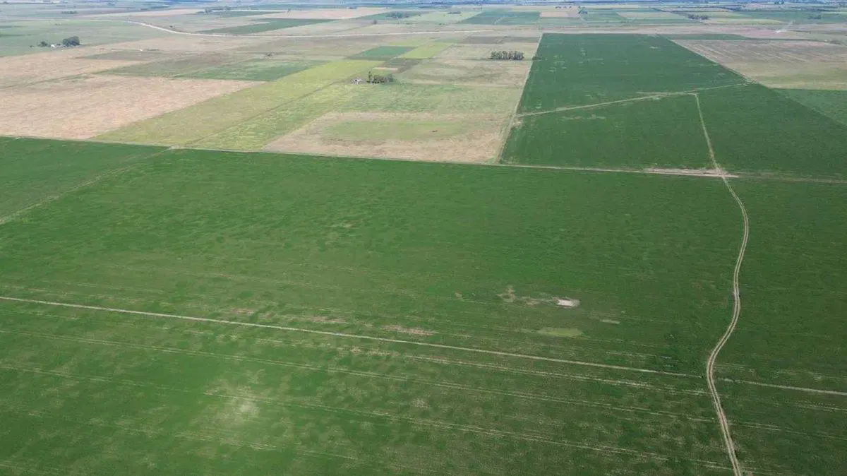 64,7 HECTAREAS ZONA DE CHOVET 2