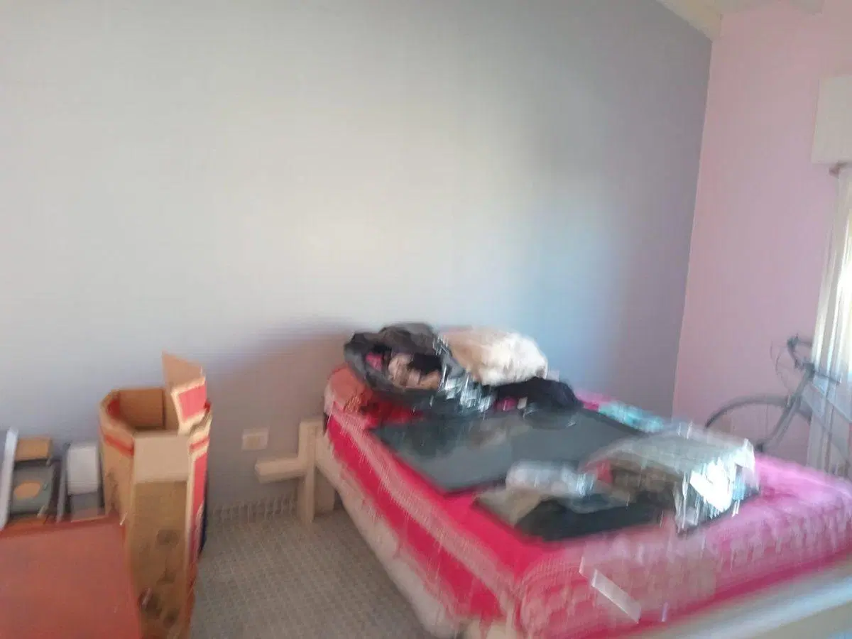 Casa de dos dormitorios con pileta en Murphy 5