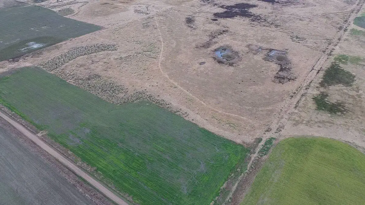 CAMPO MIXTO 131 HECTAREAS  SAN EDUARDO 4