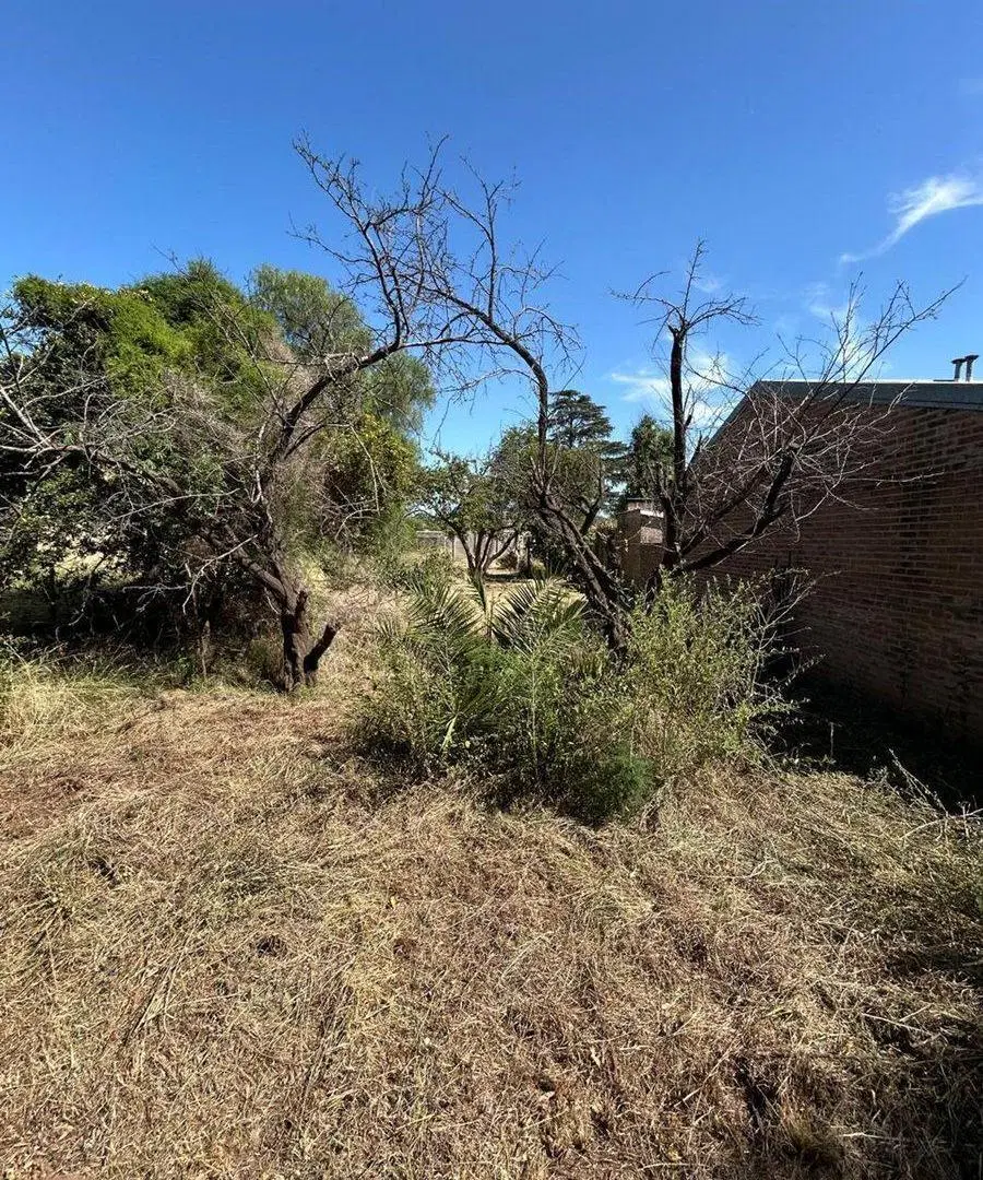 Terreno Leoncio de la Barrera 435 4