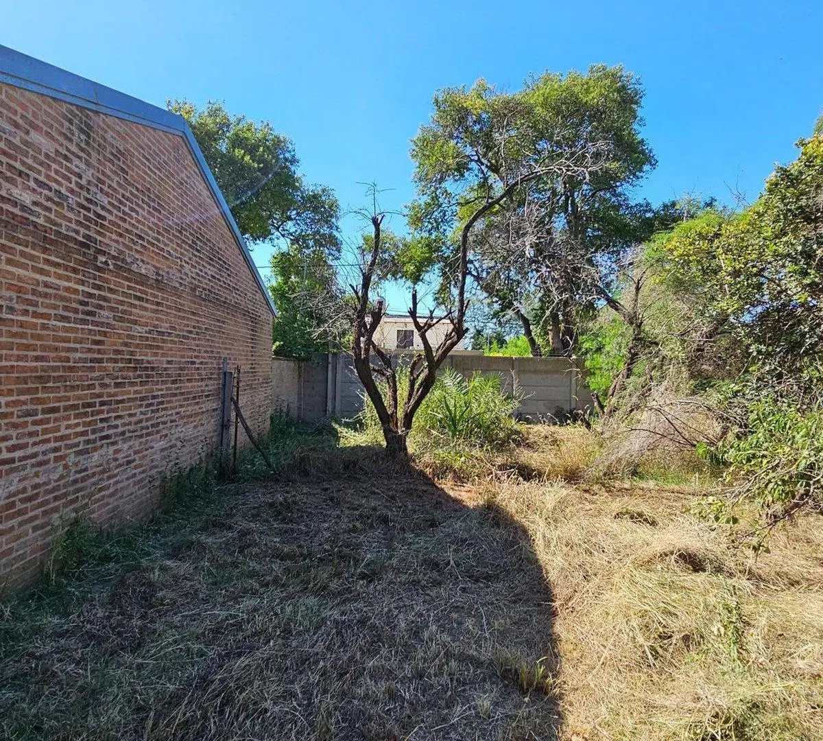 Terreno Leoncio de la Barrera 435 3