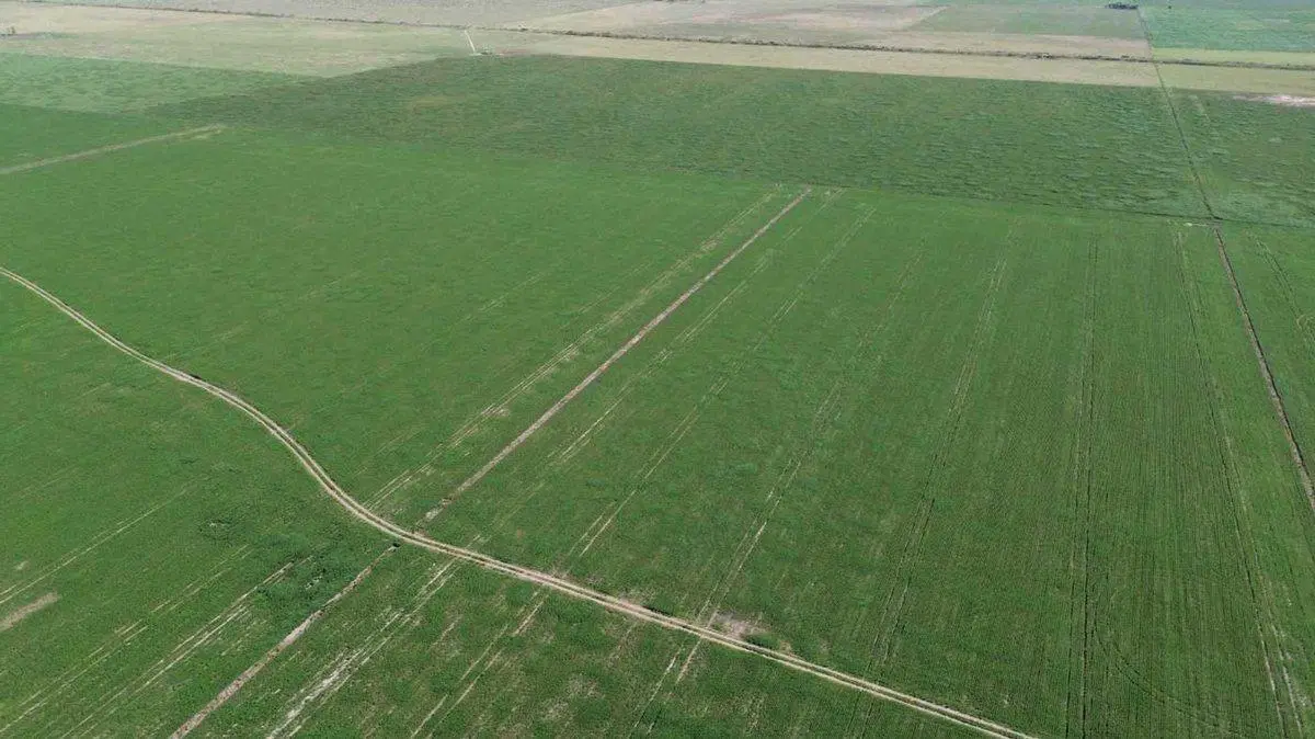 64,7 HECTAREAS ZONA DE CHOVET 5