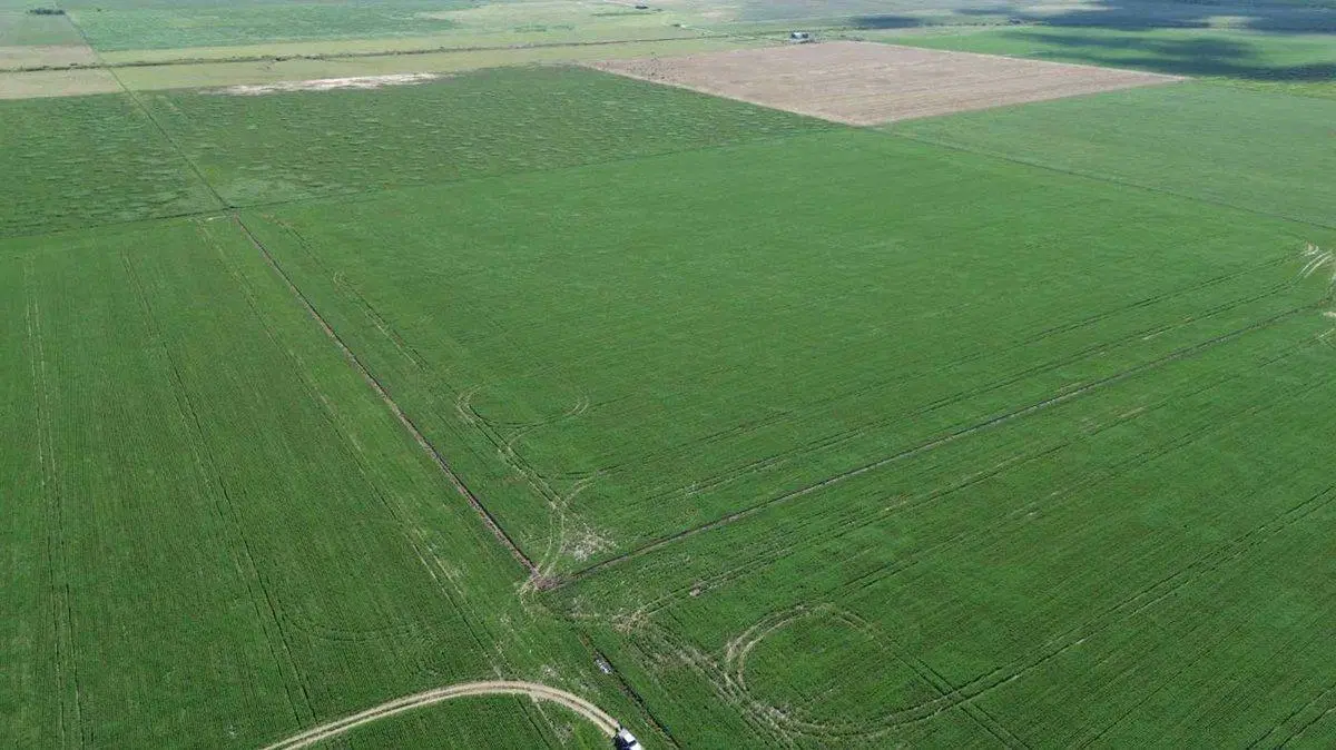 64,7 HECTAREAS ZONA DE CHOVET 4