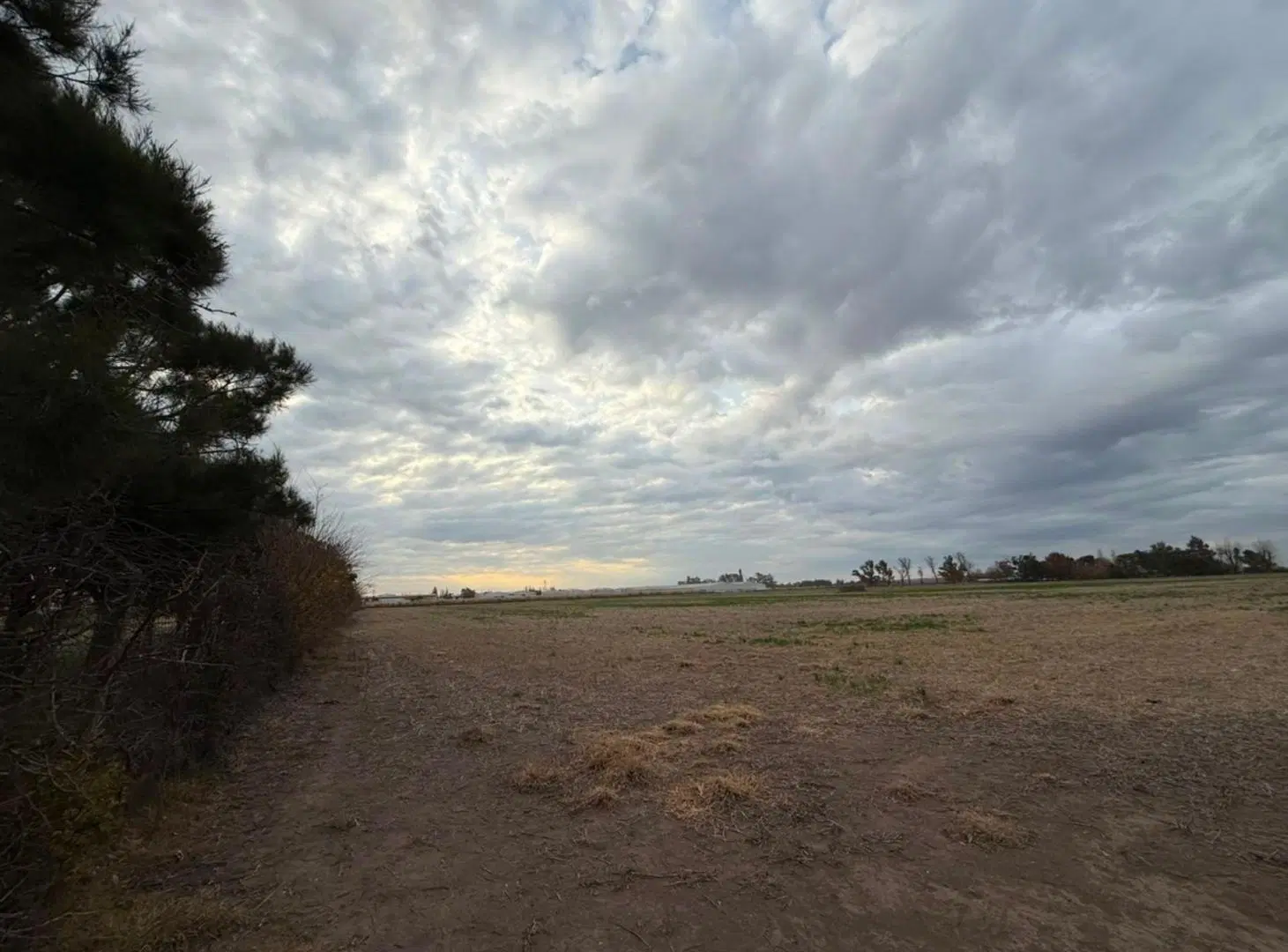 VENTA 6 HAS ZONA PARQUE INDUSTRIAL 4