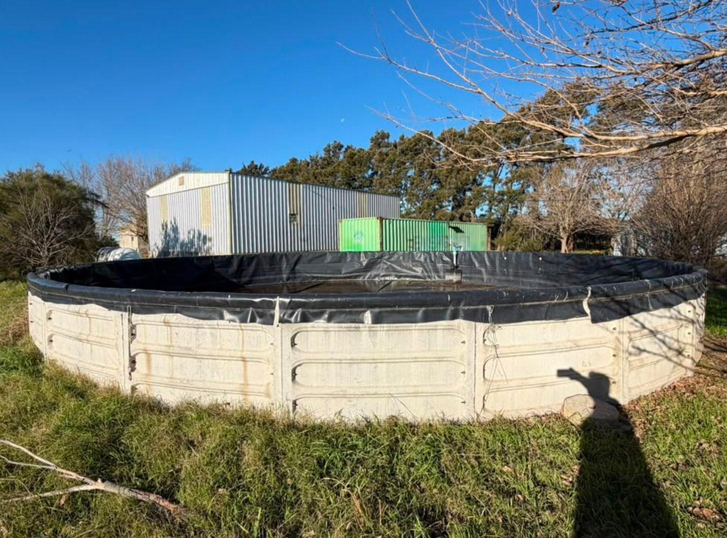 Foto de Se venden 10 has. San Eduardo c/ plantación kiwis, imagen 2
