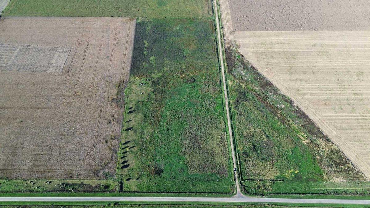 Foto de EN VENTA CAMPO 11,5 HECTAREAS 100% AGRICOLA, imagen 1