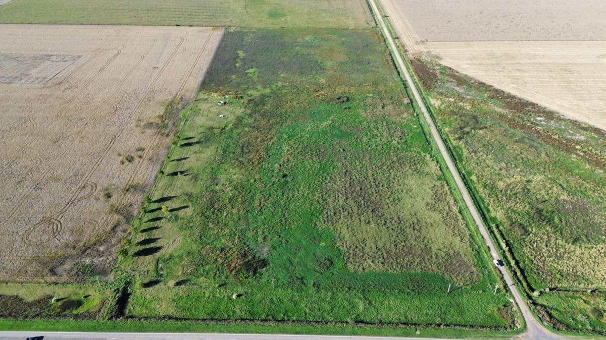 Foto de EN VENTA CAMPO 11,5 HECTAREAS 100% AGRICOLA, imagen 4