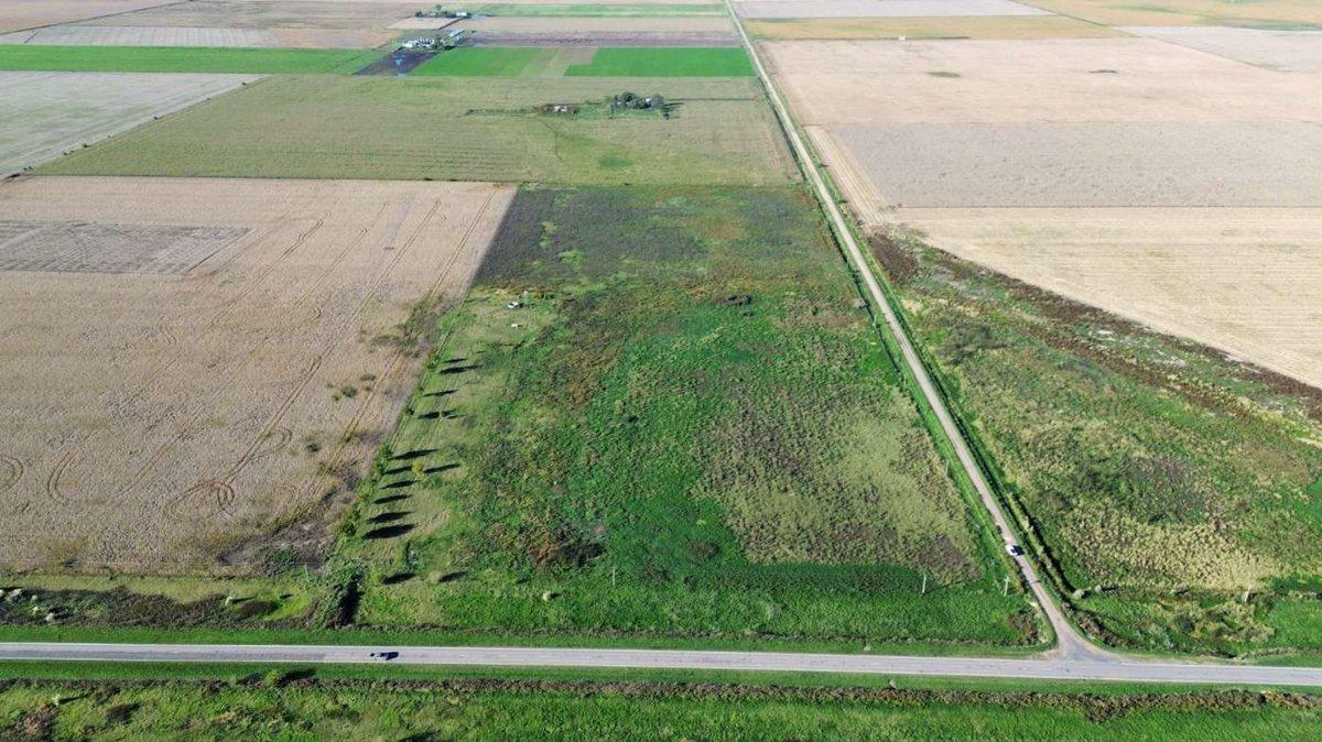 Foto de EN VENTA CAMPO 11,5 HECTAREAS 100% AGRICOLA, imagen 2