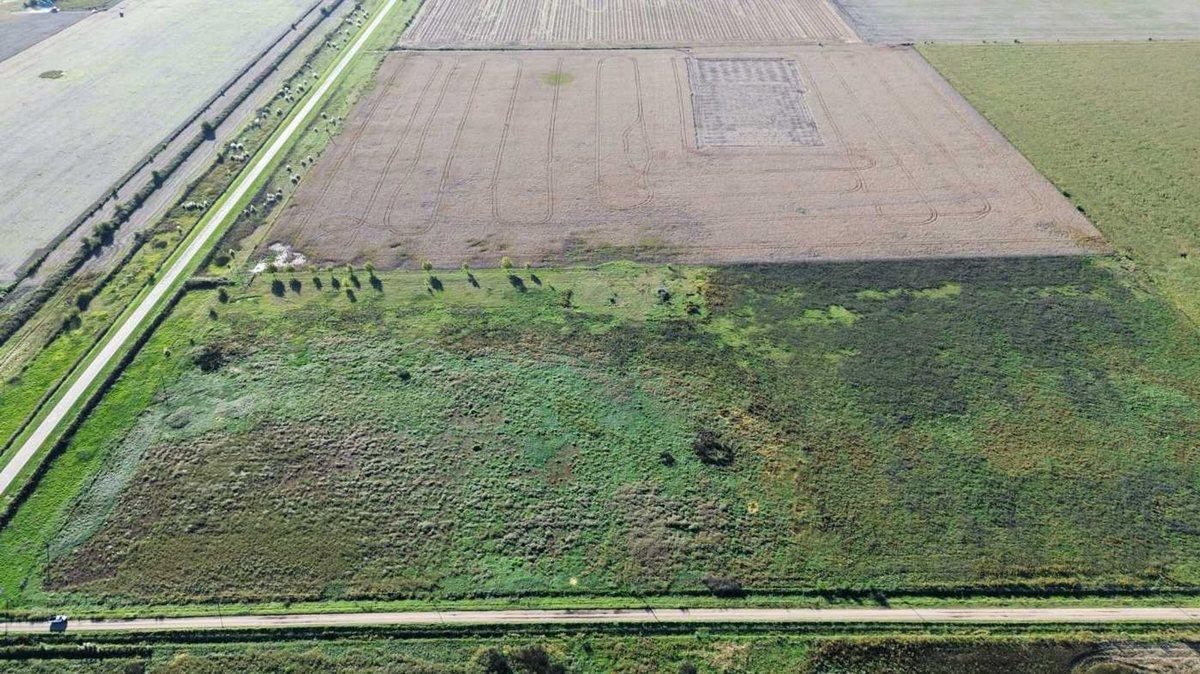 Foto de EN VENTA CAMPO 11,5 HECTAREAS 100% AGRICOLA, imagen 5
