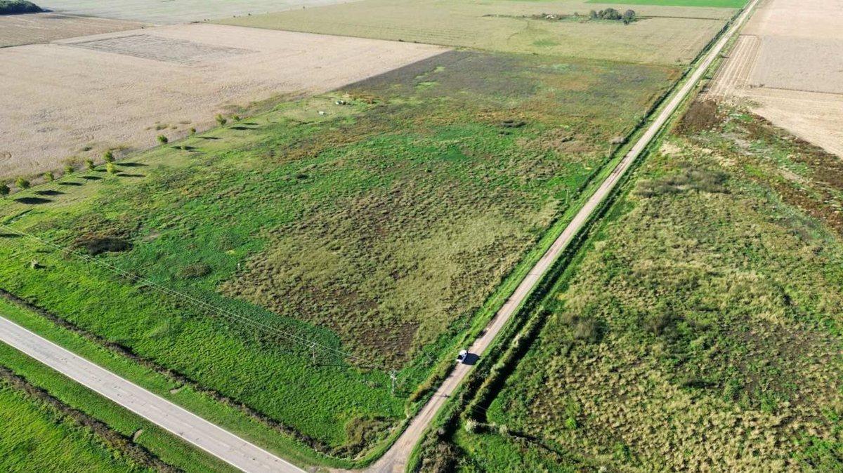 Foto de EN VENTA CAMPO 11,5 HECTAREAS 100% AGRICOLA, imagen 3
