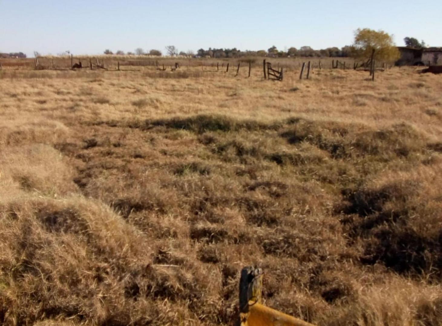 Foto de 1,5 Hectarea con construccionen La Chispa, imagen 4