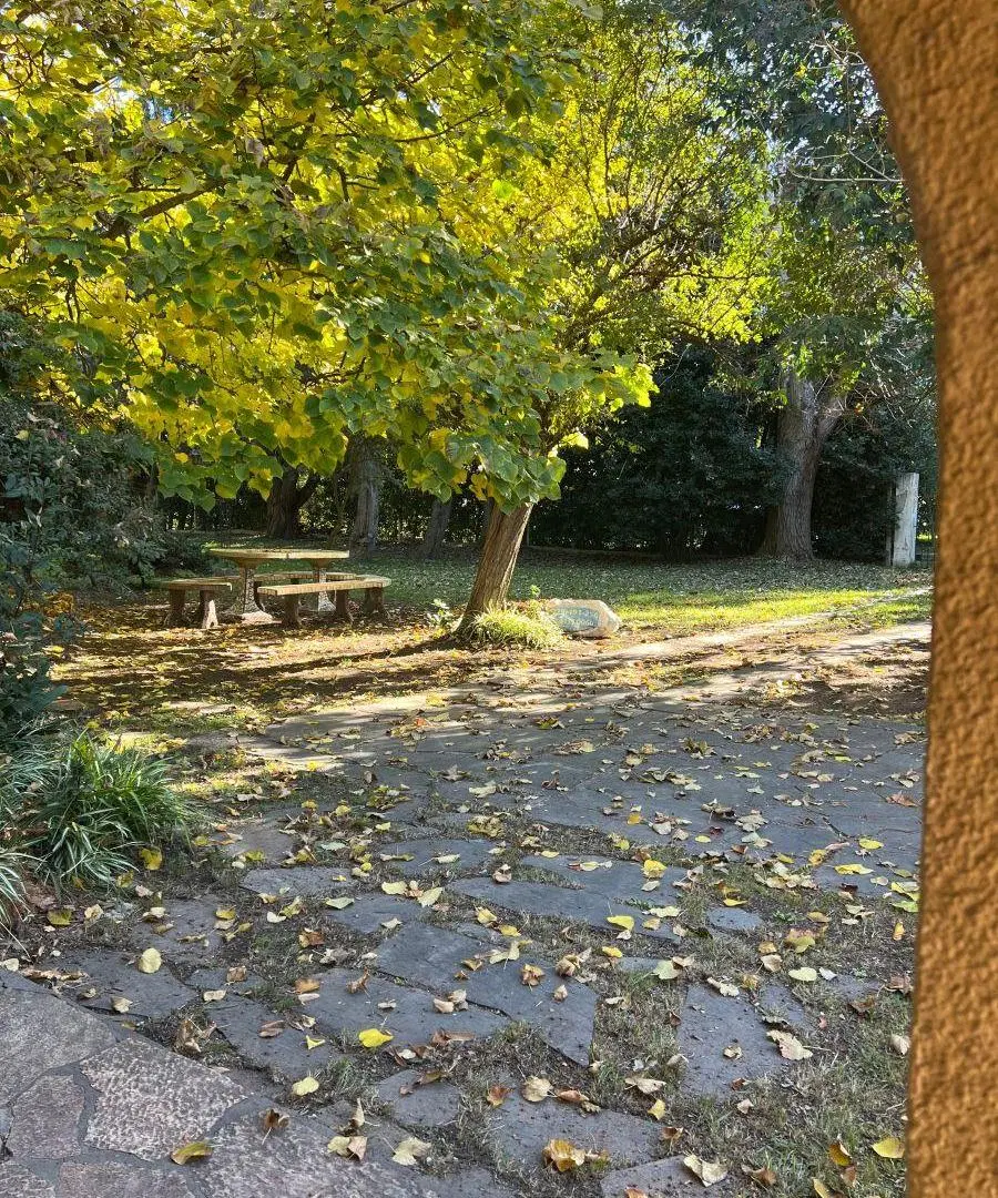 Casa Quinta en Alquiler en Arturo Seguí 5