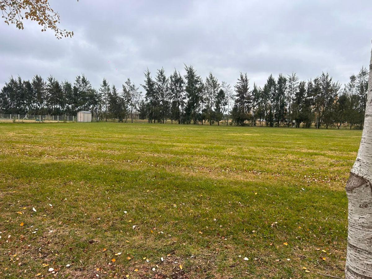 Terreno en Venta en Brandsen
