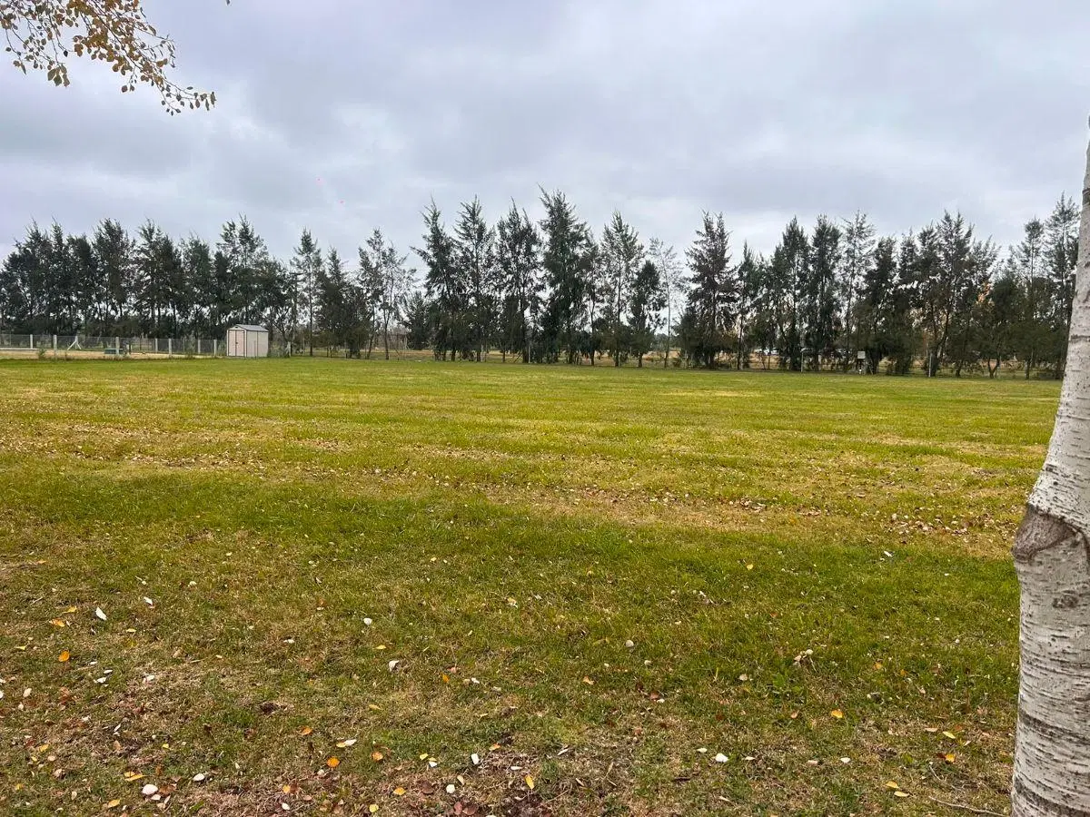 Terreno en Venta en Brandsen 3