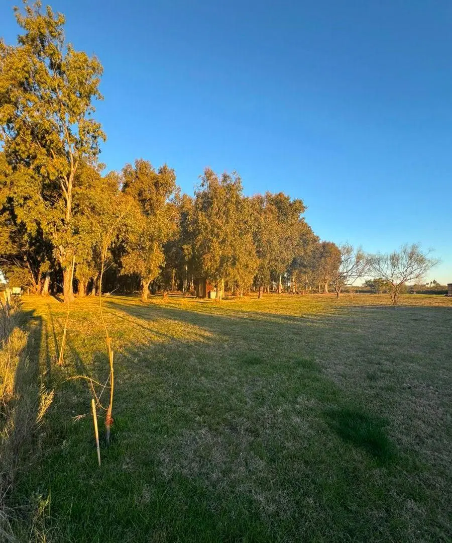 Terreno en Venta en Berisso 8