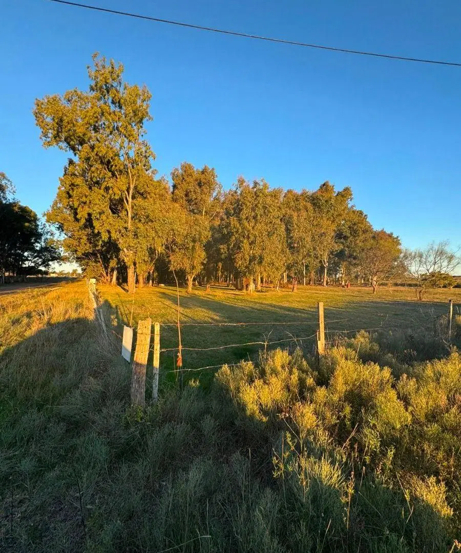 Terreno en Venta en Berisso 1