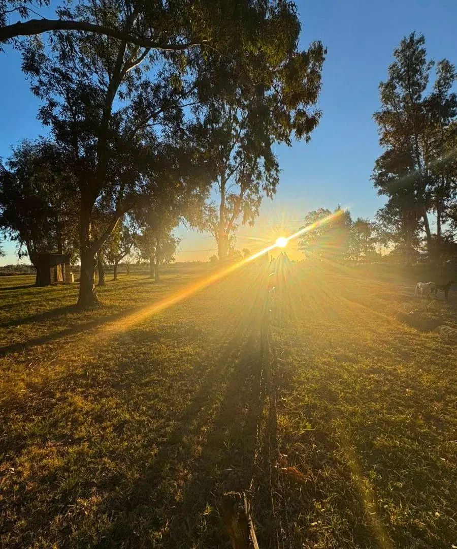 Terreno en Venta en Berisso 3