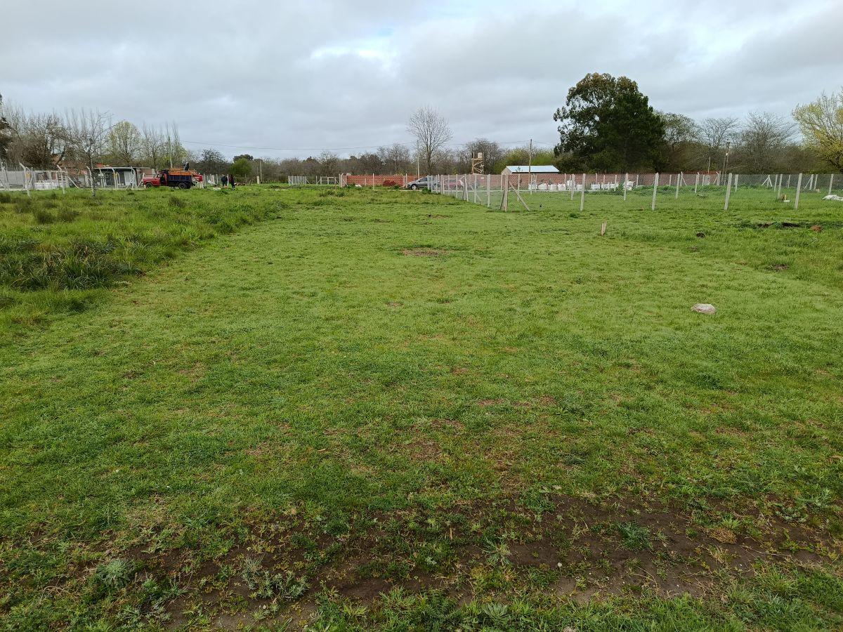 Foto de Terreno en Venta en Villa Elisa, imagen 1