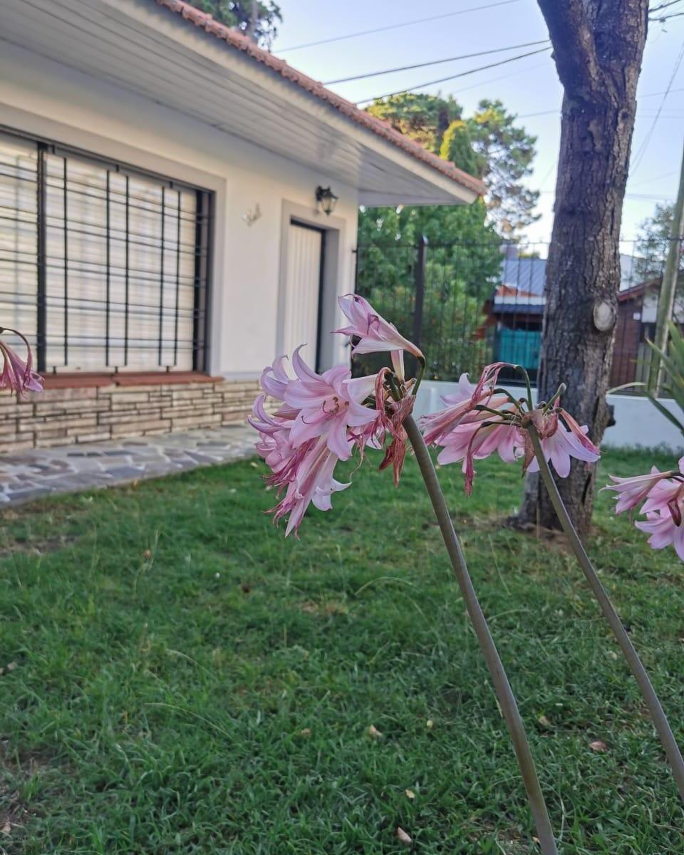 Excelente Chalet, Zona Centro de San Bernardo, en Esquina, Posible Financiacion! 5