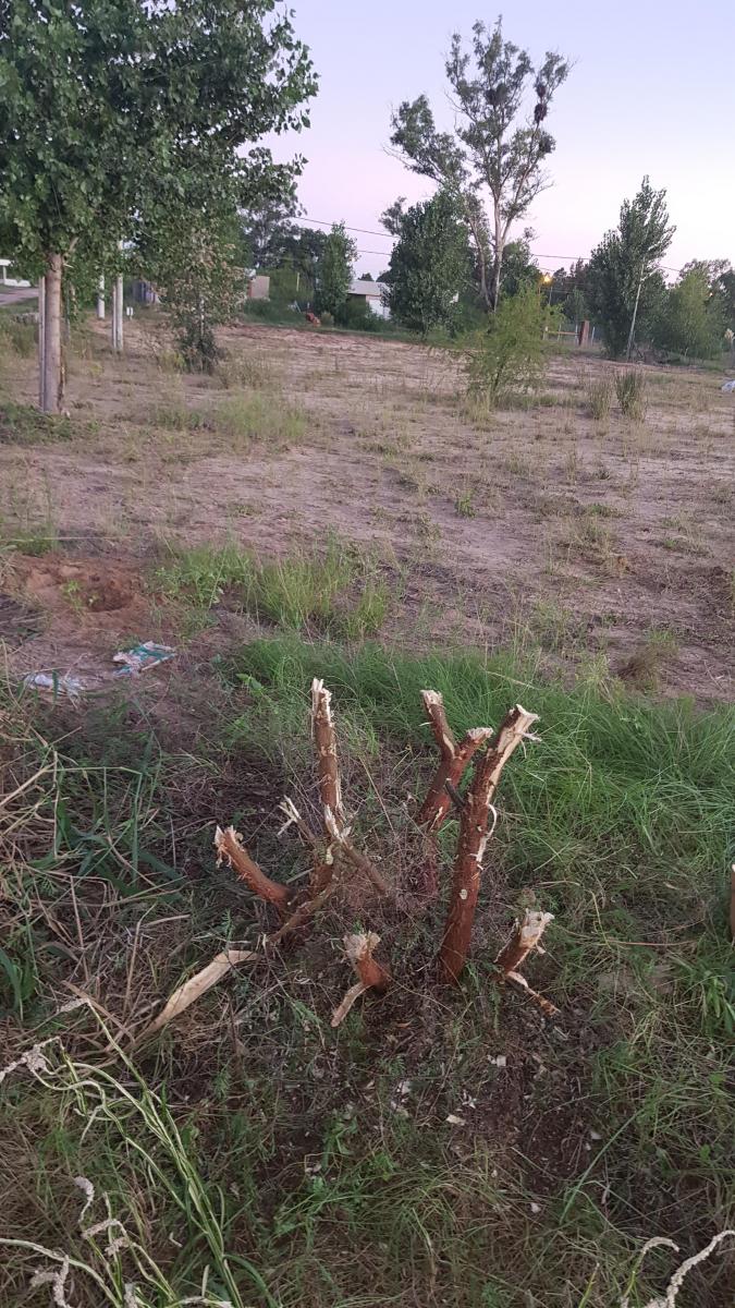 Lote en Lagos del Leyes - Km 15,5 5