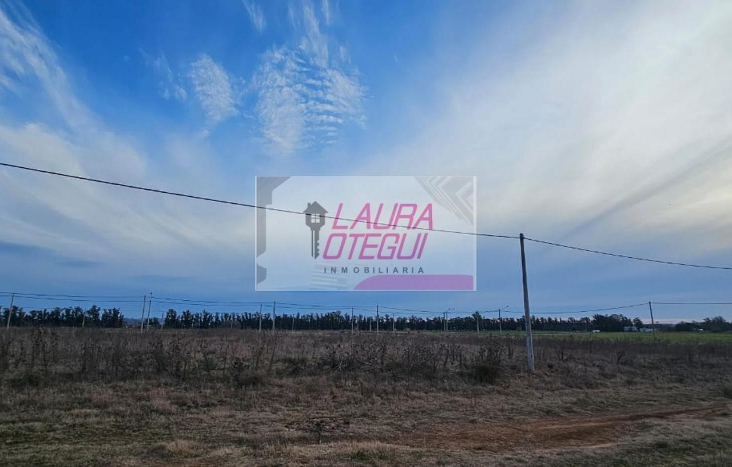 Foto de VENTA LOTE ZONA EN CRECIMIENTO, imagen 3