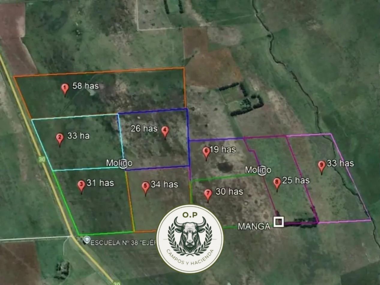 Foto de VENTA CAMPO GANADERO 290 HAS SOBRE RUTA 30, imagen 3