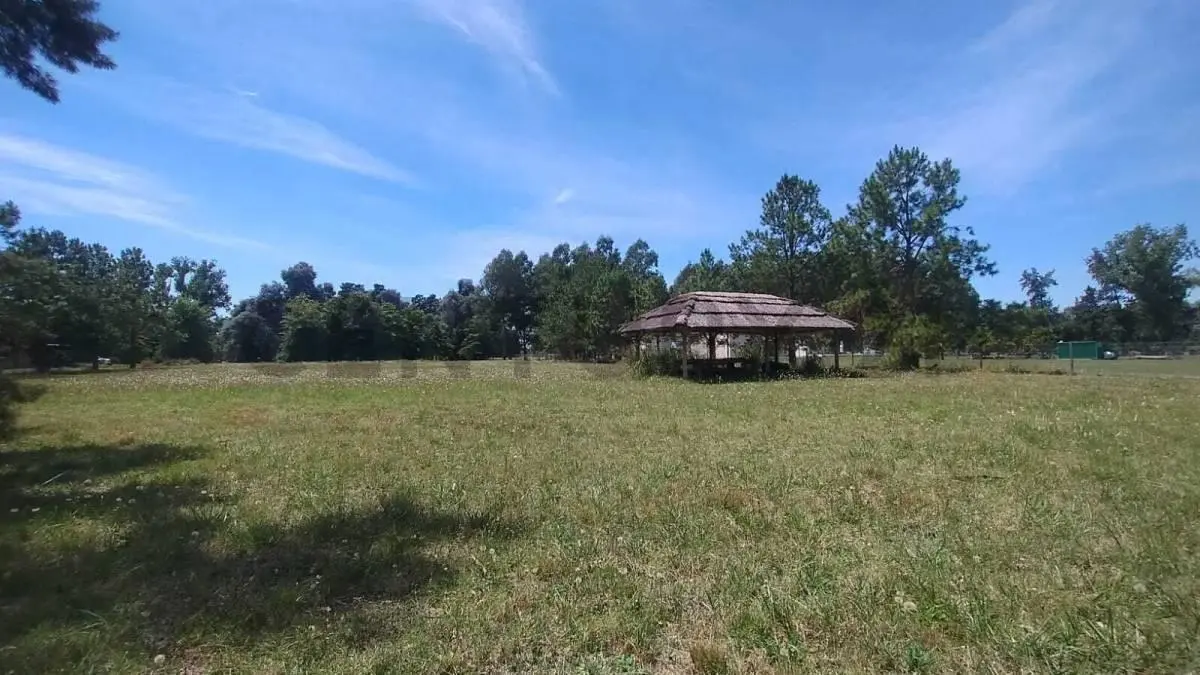 VENTA LOTE 7.755 m² EN CHACRAS DEL NACIONAL, GRAL. RODRIGUEZ 5