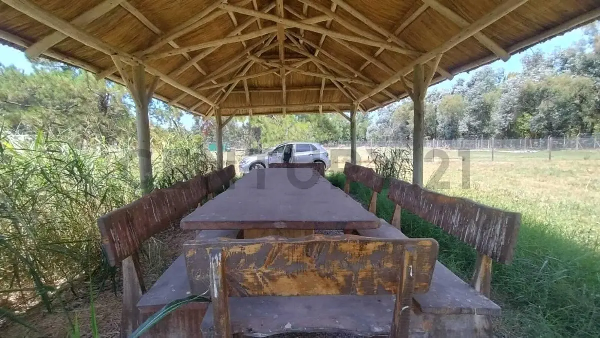 VENTA LOTE 7.755 m² EN CHACRAS DEL NACIONAL, GRAL. RODRIGUEZ 4