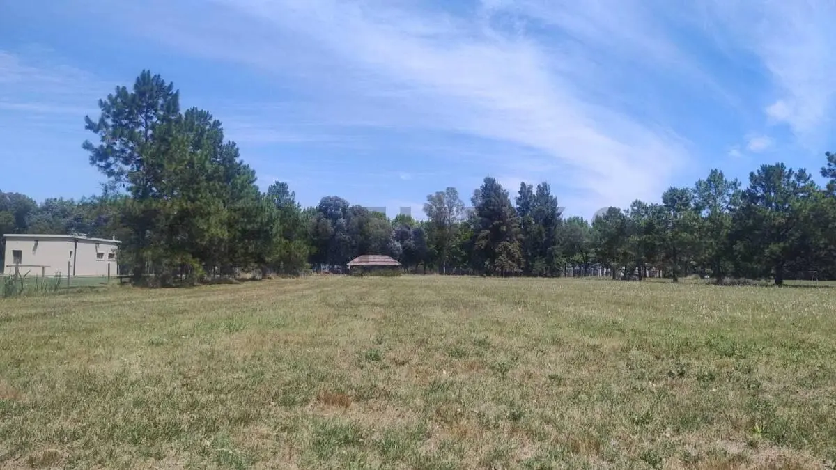 VENTA LOTE 7.755 m² EN CHACRAS DEL NACIONAL, GRAL. RODRIGUEZ 2