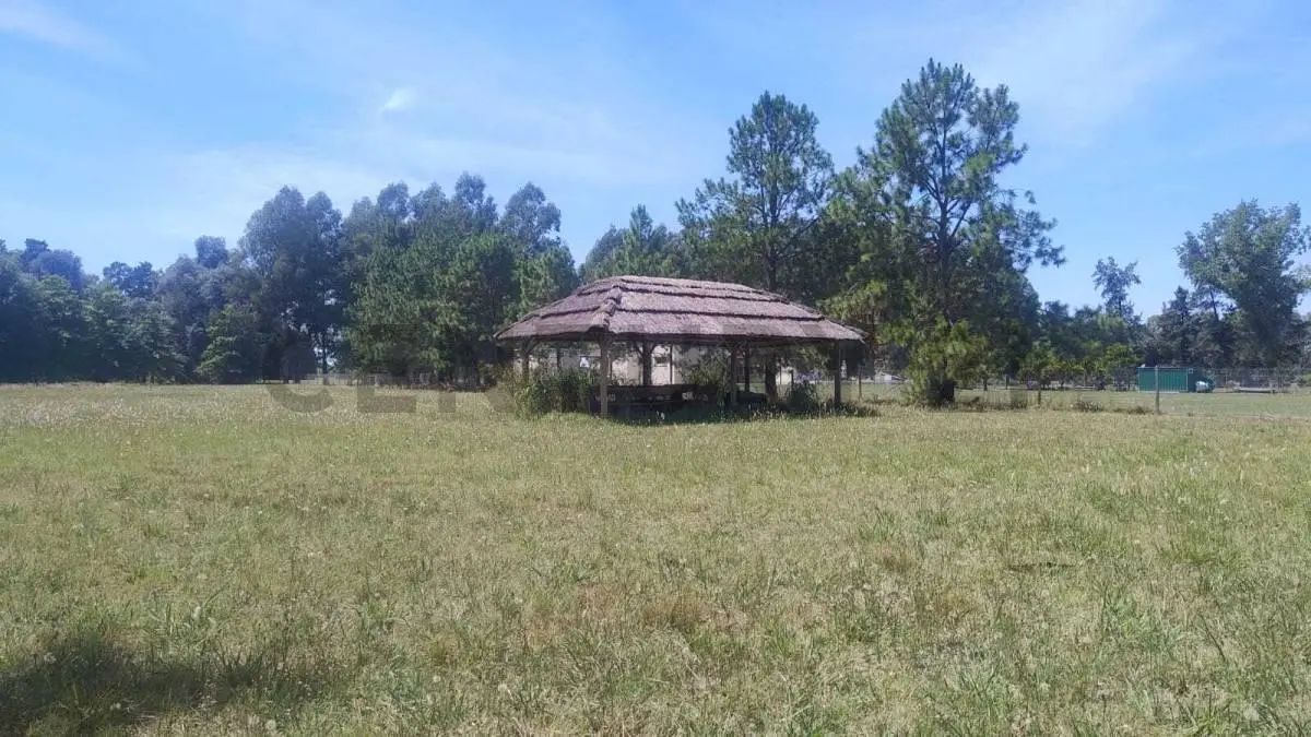VENTA LOTE 7.755 m² EN CHACRAS DEL NACIONAL, GRAL. RODRIGUEZ 3