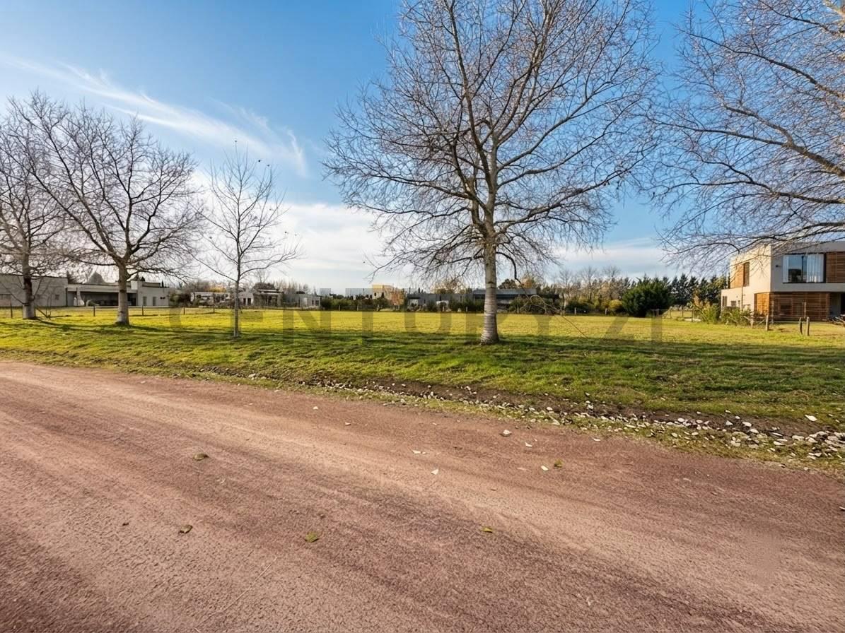 Foto de Lote Premium de 2400 m² en Fincas de San Vicente -Chacras Urbanas II, imagen 4
