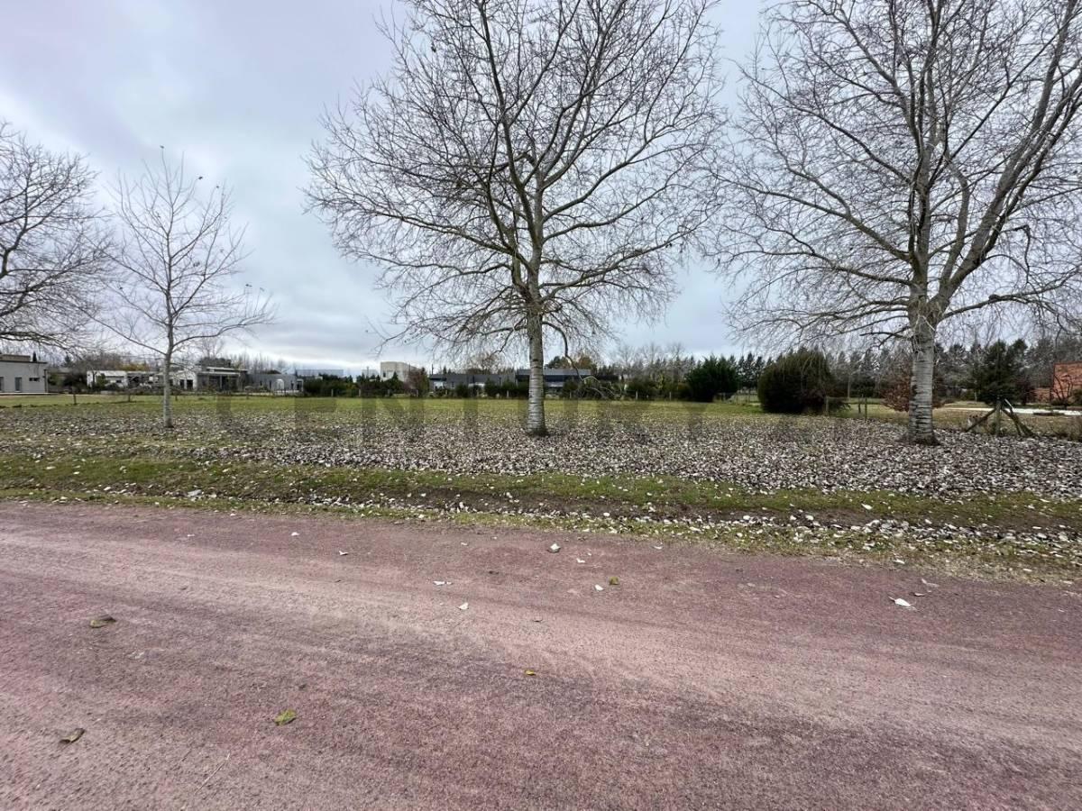 Foto de Lote Premium de 2400 m² en Fincas de San Vicente -Chacras Urbanas II, imagen 5