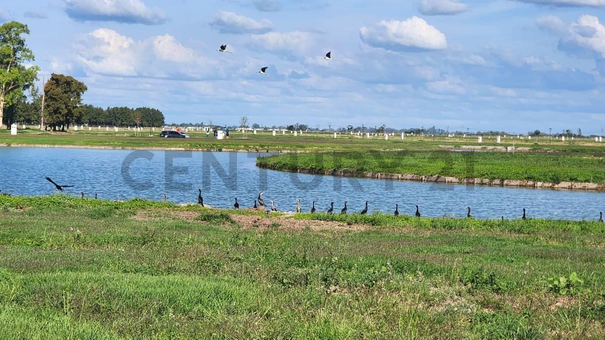 Foto de ESPECTACULAR LOTE EN UNO DE LOS MÁS PROMETEDORES BARRIOS DE CANNING, imagen 4