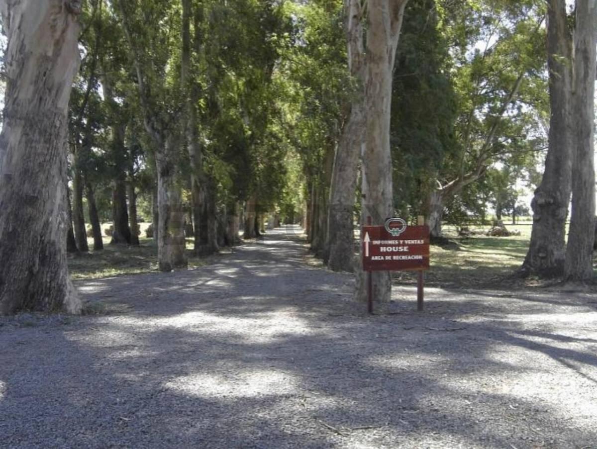 Foto de VENTA - LOTE EN CAMPO DAROMY (SAN VICENTE), imagen 2