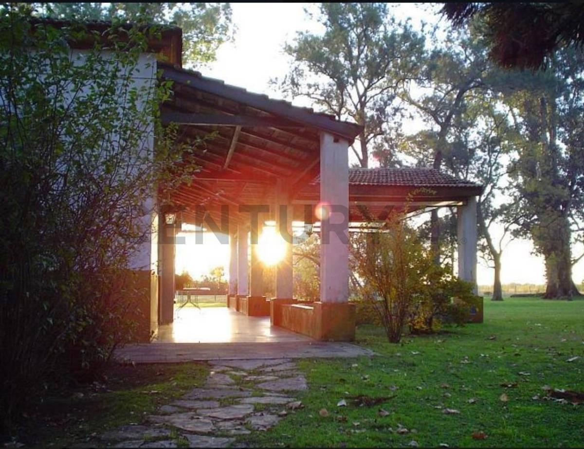 Foto de VENTA - LOTE EN CAMPO DAROMY (SAN VICENTE), imagen 4