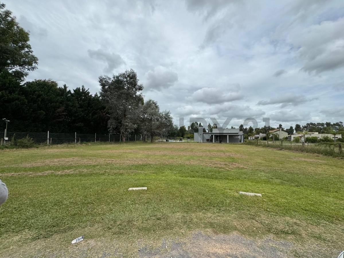 Foto de VENTA - LOTE EN CAMPO DAROMY (SAN VICENTE), imagen 3