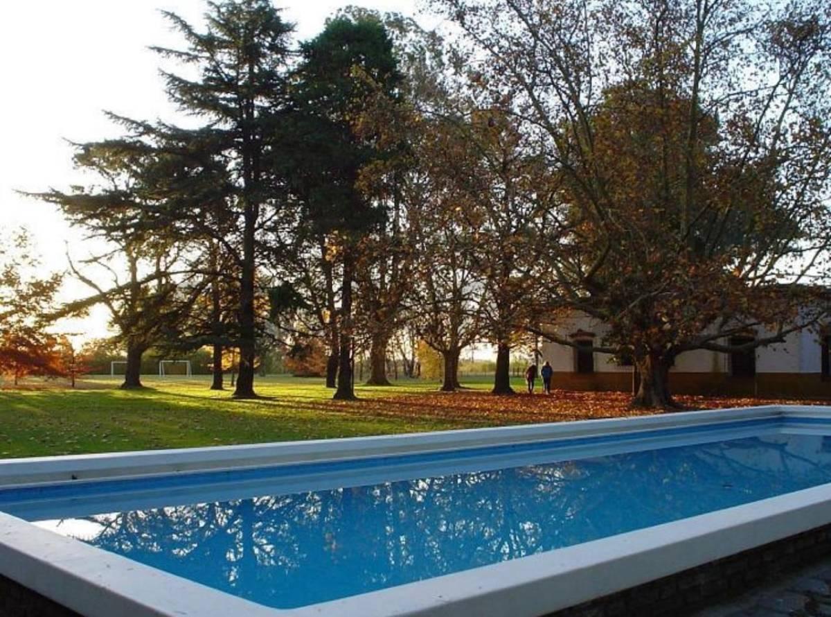 Foto de VENTA - LOTE EN CAMPO DAROMY (SAN VICENTE), imagen 5