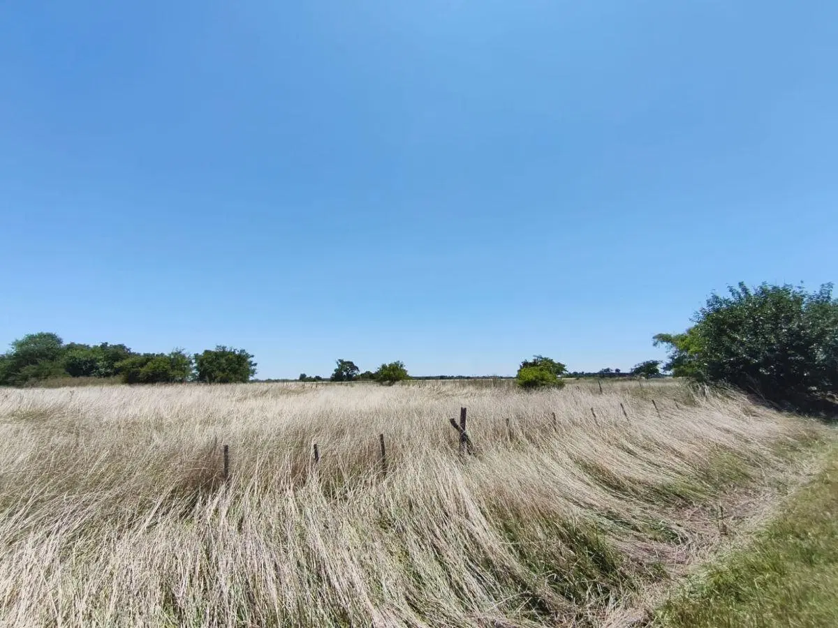 Se vende 14.3 Hectareas en campo de suelo mixto listas para escriturar 5