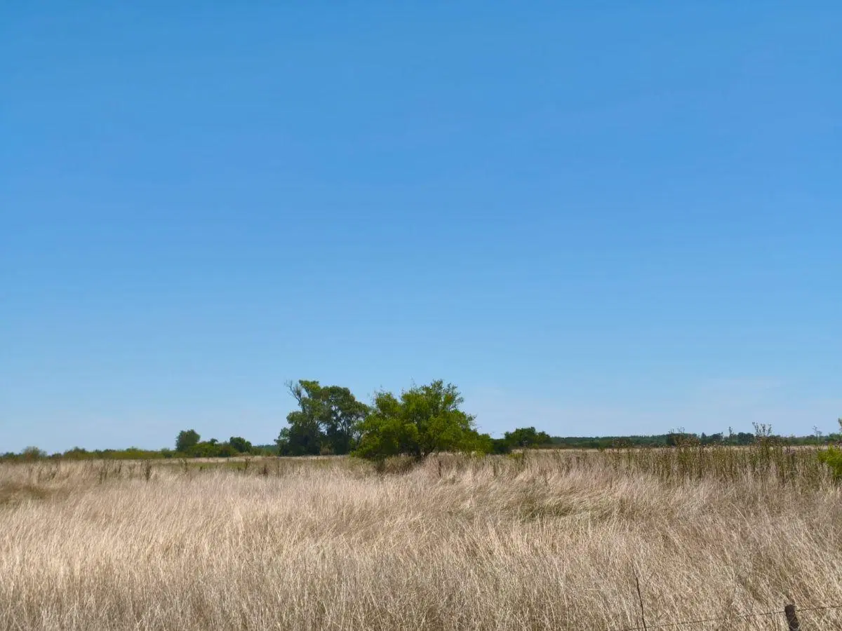 Se vende 14.3 Hectareas en campo de suelo mixto listas para escriturar 2