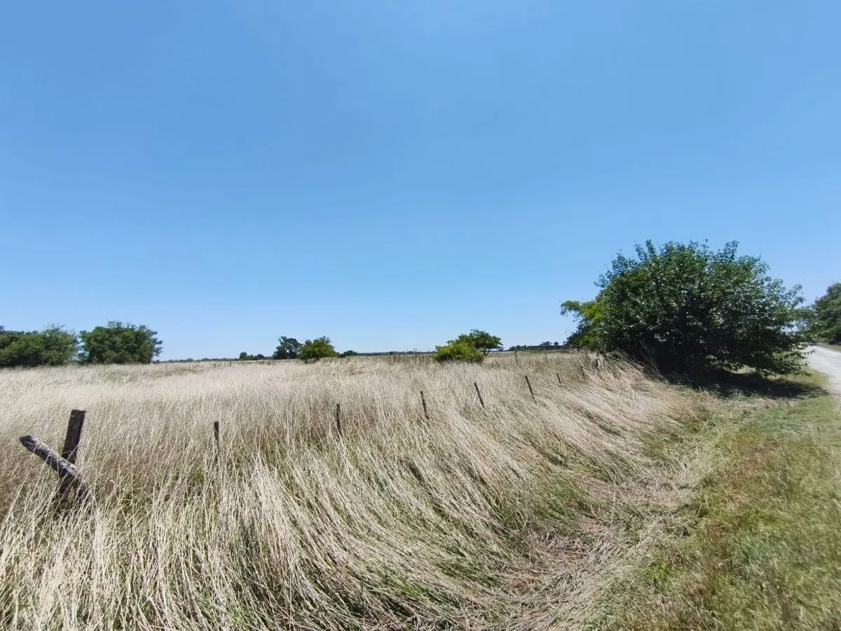Se vende 14.3 Hectareas en campo de suelo mixto listas para escriturar 3