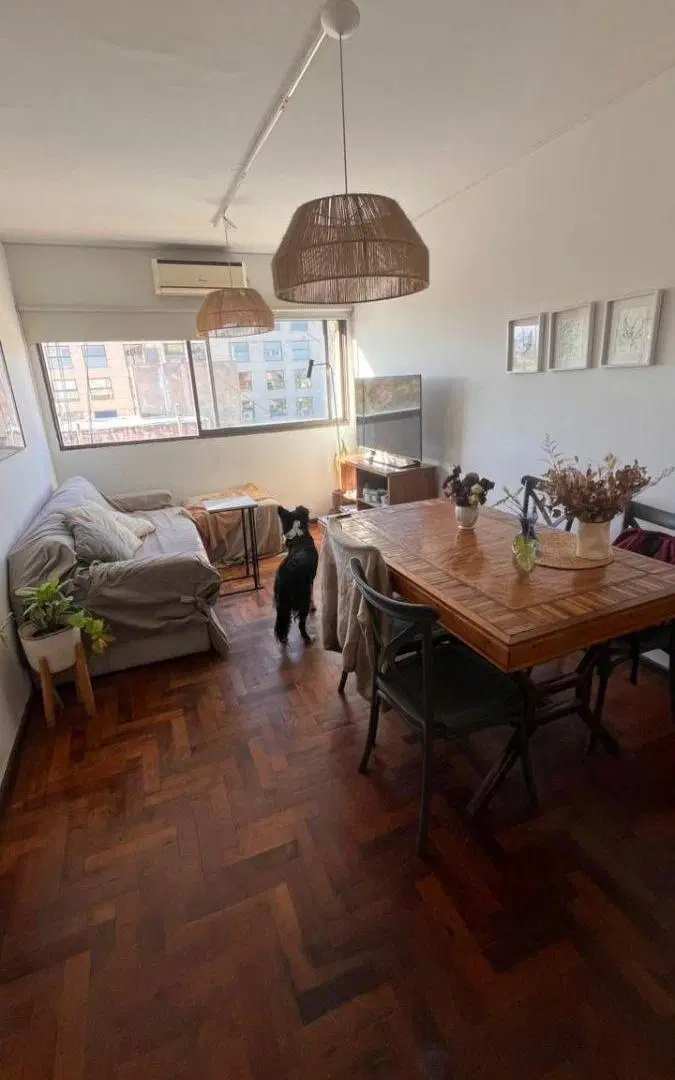 Departamento de 2 dormitorios en alquiler en Quinta Sección 3
